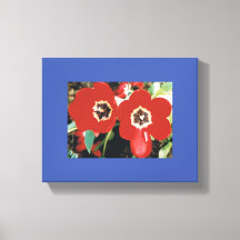 Leinwand mit Roten Tulips