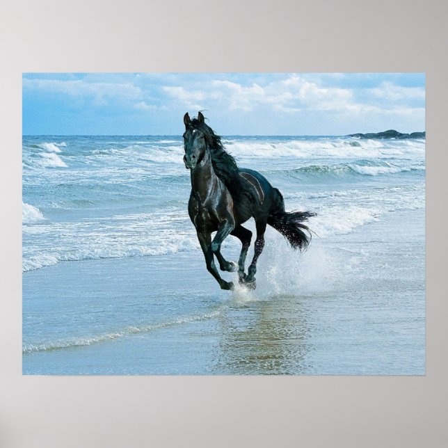 Leinwand Poster (Vorne)