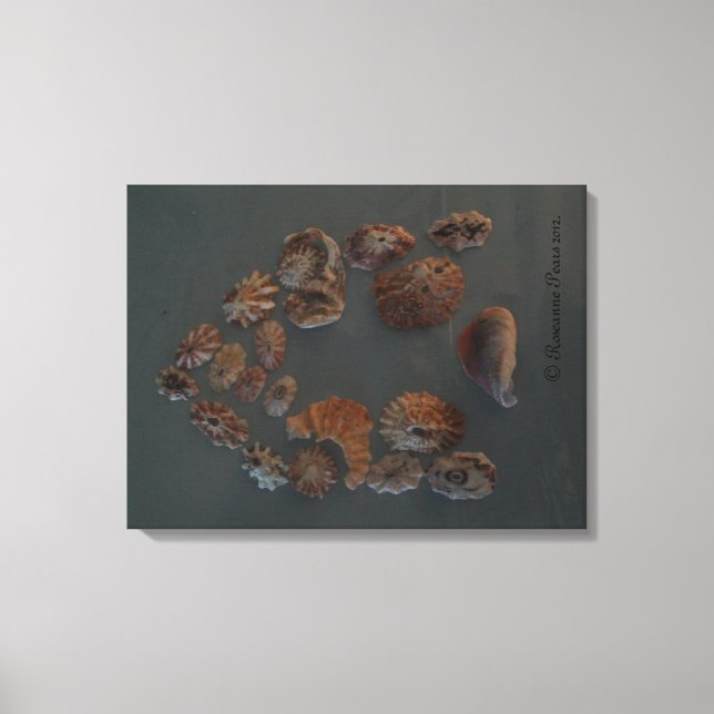 Leinwand (SeaShell House) RFPMDesign ©️ 2012 (Vorderseite)