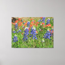 Leinwand Texas Wildblumen Bluebonnets Pinsel