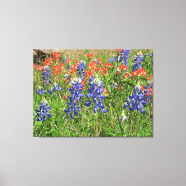 Leinwand Texas Wildblumen Bluebonnets Pinsel