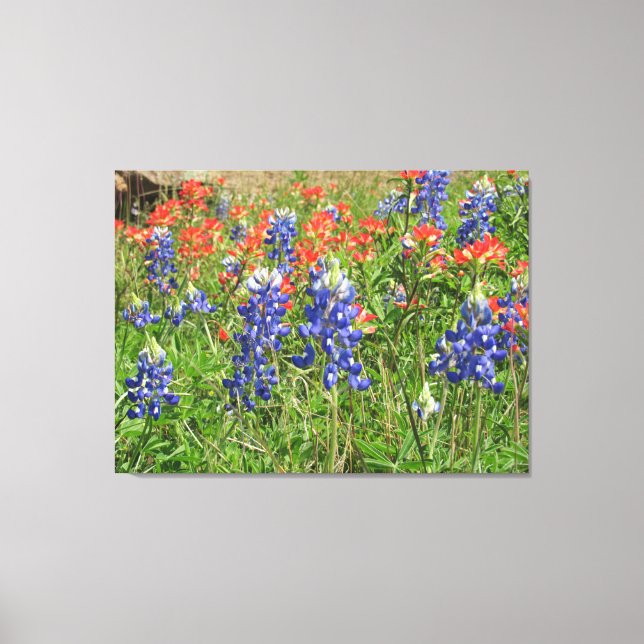 Leinwand Texas Wildblumen Bluebonnets Pinsel (Vorderseite)