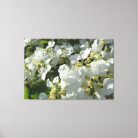 Leinwand - überpackt - Doppeldatei Viburnum I