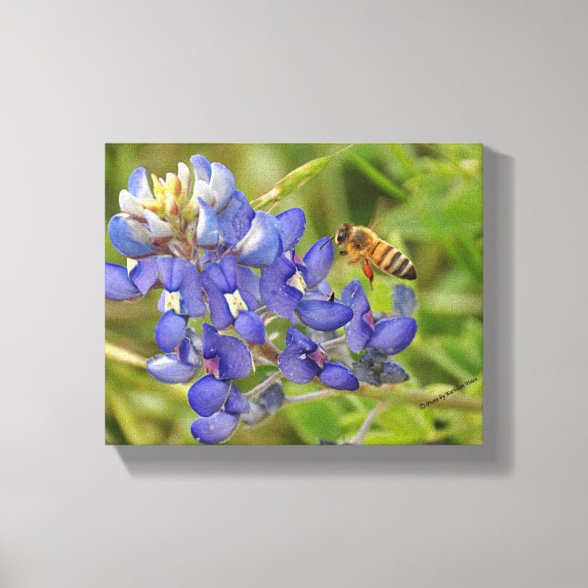 Leinwand von Bluebonnet und Bienen-Foto (Vorderseite)