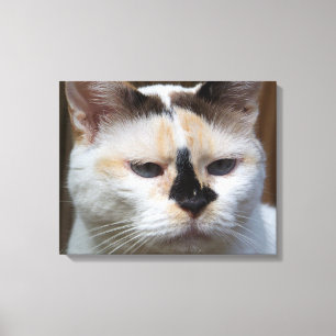 Leinwand von Cream Calico 20"x16"