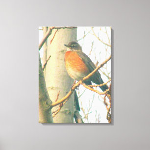 Leinwand - Winter Robin auf Zweig