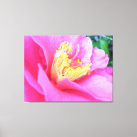 Leinwand - Wrapped - Vollblut Dunkelrosa Kamelie