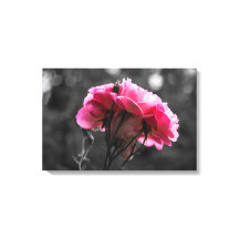 Leinwanddruck - Eleganz der rosa Rose
