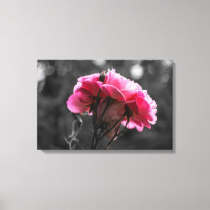 Leinwanddruck - Eleganz der rosa Rose