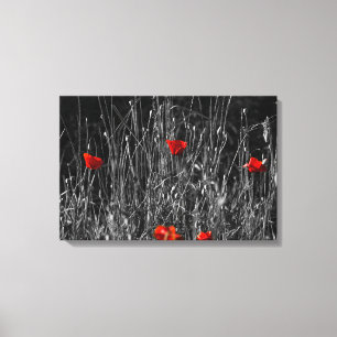 Leinwanddruck - Rote Einsamkeit Mohn