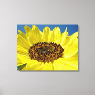 Leinwandkunst Drucke Gelbe Sonnenblume Blauer Himm