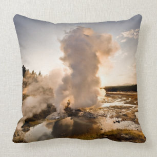 Leisten-Geysir, Norris Geysir-Becken Kissen