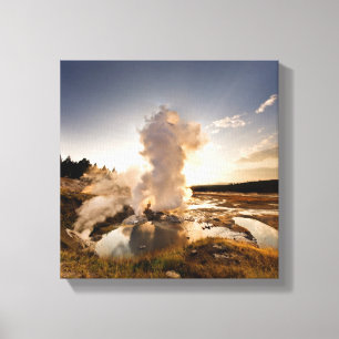 Leisten-Geysir, Norris Geysir-Becken Leinwanddruck