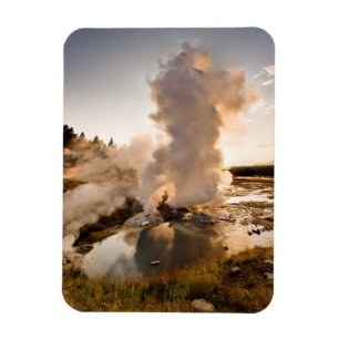 Leisten-Geysir, Norris Geysir-Becken Magnet
