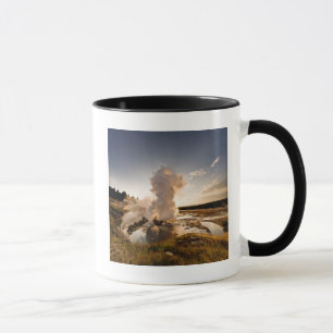 Leisten-Geysir, Norris Geysir-Becken Tasse