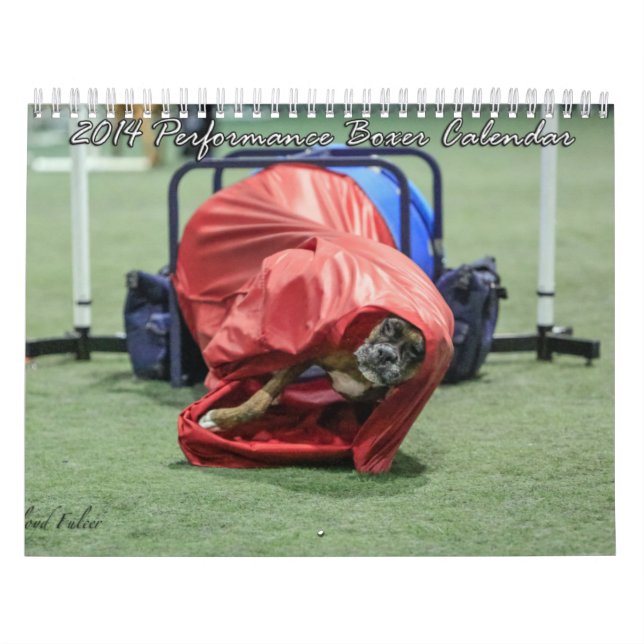 Leistungs-Boxer-Kalender 2014 Kalender (Titelbild)