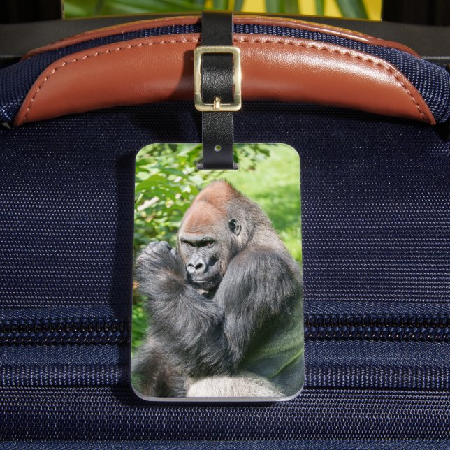 Leistungsstarker Silverback Gorilla inmitten grüne Gepäckanhänger (Vorderseite Insitu 2)