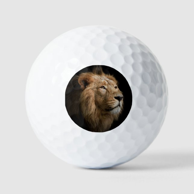 Leistungsstarkes Löwenportrait mit dunklem Hinterg Golfball (Vorderseite)