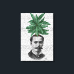 Leiter der Evergreen Head Pflanze Leinwanddruck<br><div class="desc">Mode und Figuration</div>