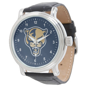 Leiter der FIU-Einheit Armbanduhr