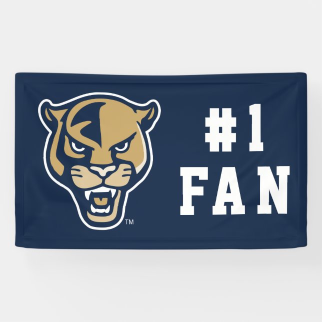 Leiter der FIU-Einheit Banner (Horizontal)