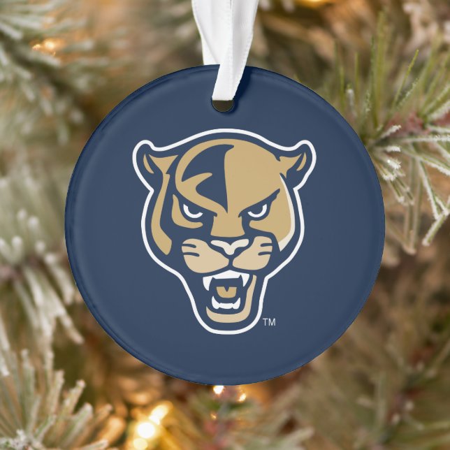 Leiter der FIU-Einheit Ornament (Baum)