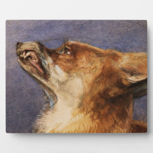 Leiter eines Fuchs Fotoplatte
