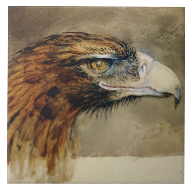 Leiter eines Golden Eagle (von John Ruskin) Fliese (Vorderseite)