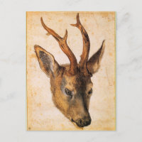 Leiter eines Stags von Albrecht Durer