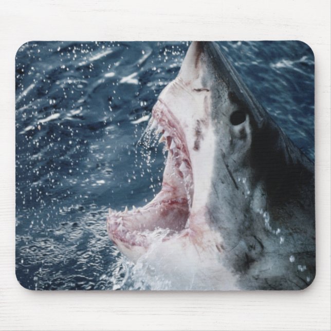 Leiter von Great White Shark Mousepad (Vorne)