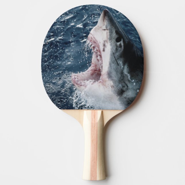 Leiter von Great White Shark Tischtennis Schläger (Vorderseite)