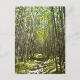 Leitpersonalaspekt Postkarte