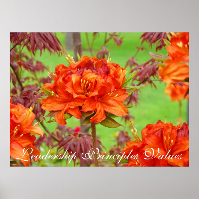 Leitprinzipien Drucke von Kunstwerken (Vorne)