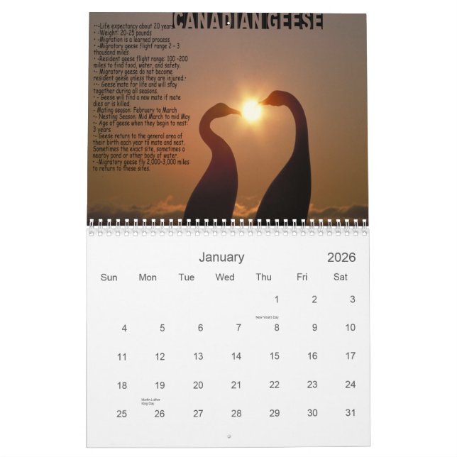 LEKTIONEN VOM GANS-KALENDER KALENDER (Jan 2026)