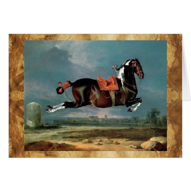 L'élevage du Cheval Piebald "Cehero" (Devant horizontal)