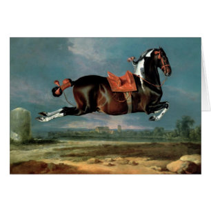 L'élevage du Cheval Piebald "Cehero"