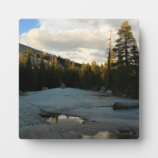 Lembert Dome in Tuolumne Meadows, Yosemite, CA Fotoplatte (Vorderseite)