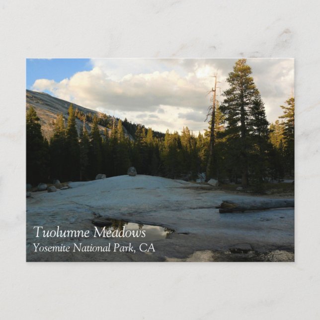 Lembert Dome in Tuolumne Meadows, Yosemite, CA Pos Postkarte (Vorderseite)