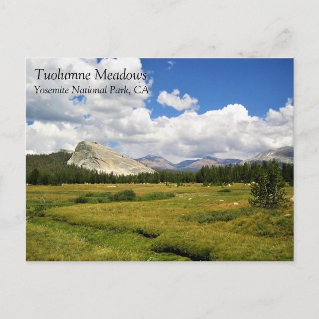 Lembert Dome in Tuolumne Meadows, Yosemite, CA Pos Postkarte (Vorderseite)