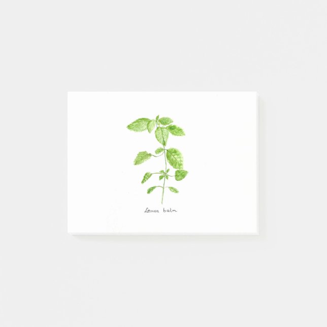 Lemon balm Kraut Aquarellgarn Grün Post-it Klebezettel (Vorderseite)