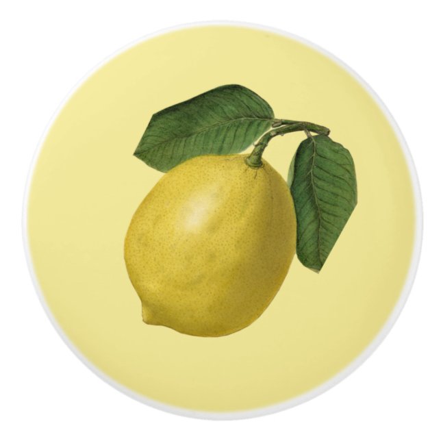 Lemon ~ Botanisches Obst ~ Hintergrundfarbe ~ Keramikknauf (Vorderseite)