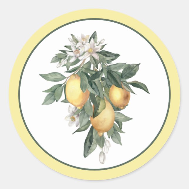 Lemon Frucht Klassischer Aufkleber (Vorderseite)