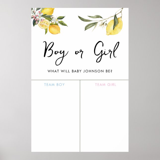 Lemon Garden Girl oder Boy Baby Gender Voting Sign Poster (Vorne)