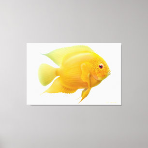 Lemon Gold Severum Cichlid Fisch ummantelt Canvas Leinwanddruck