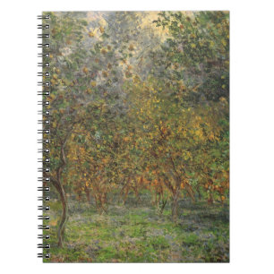 Lemon Grove in Bordighera von Claude Monet Notizblock