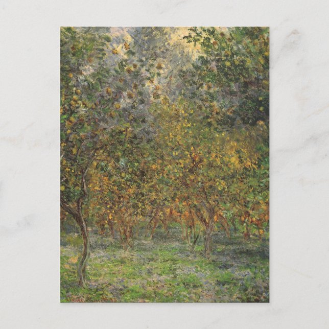 Lemon Grove in Bordighera von Claude Monet Postkarte (Vorderseite)