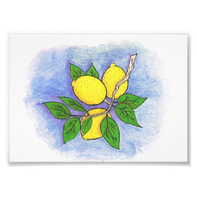 Lemon Illustration Foto Print (Vorne)