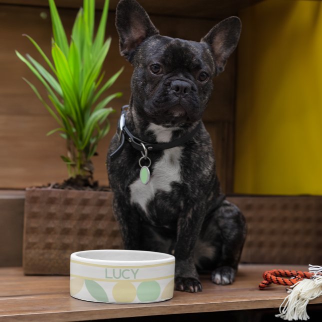 Lemon/Limon Citrus Retro Hund/Katzenschale Napf (See coordinating collar, tag, and leash!)