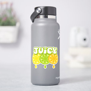 Lemon Limon Orange Frucht Vinyl Sticker