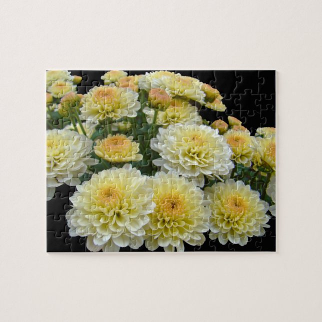 Lemon Meringue Chrysanthemums (Horizontal)